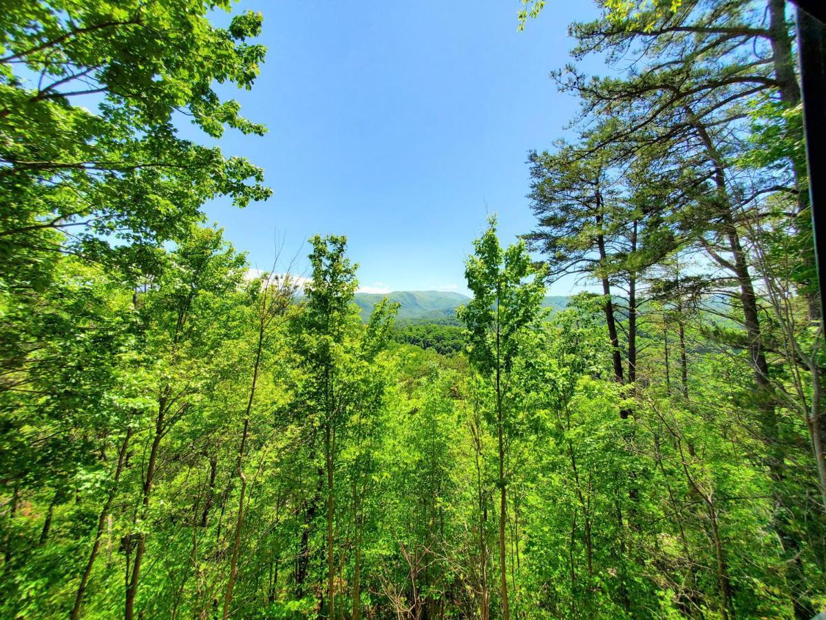 Mountain Ridge Villa Пиджен Фордж Екстериор снимка